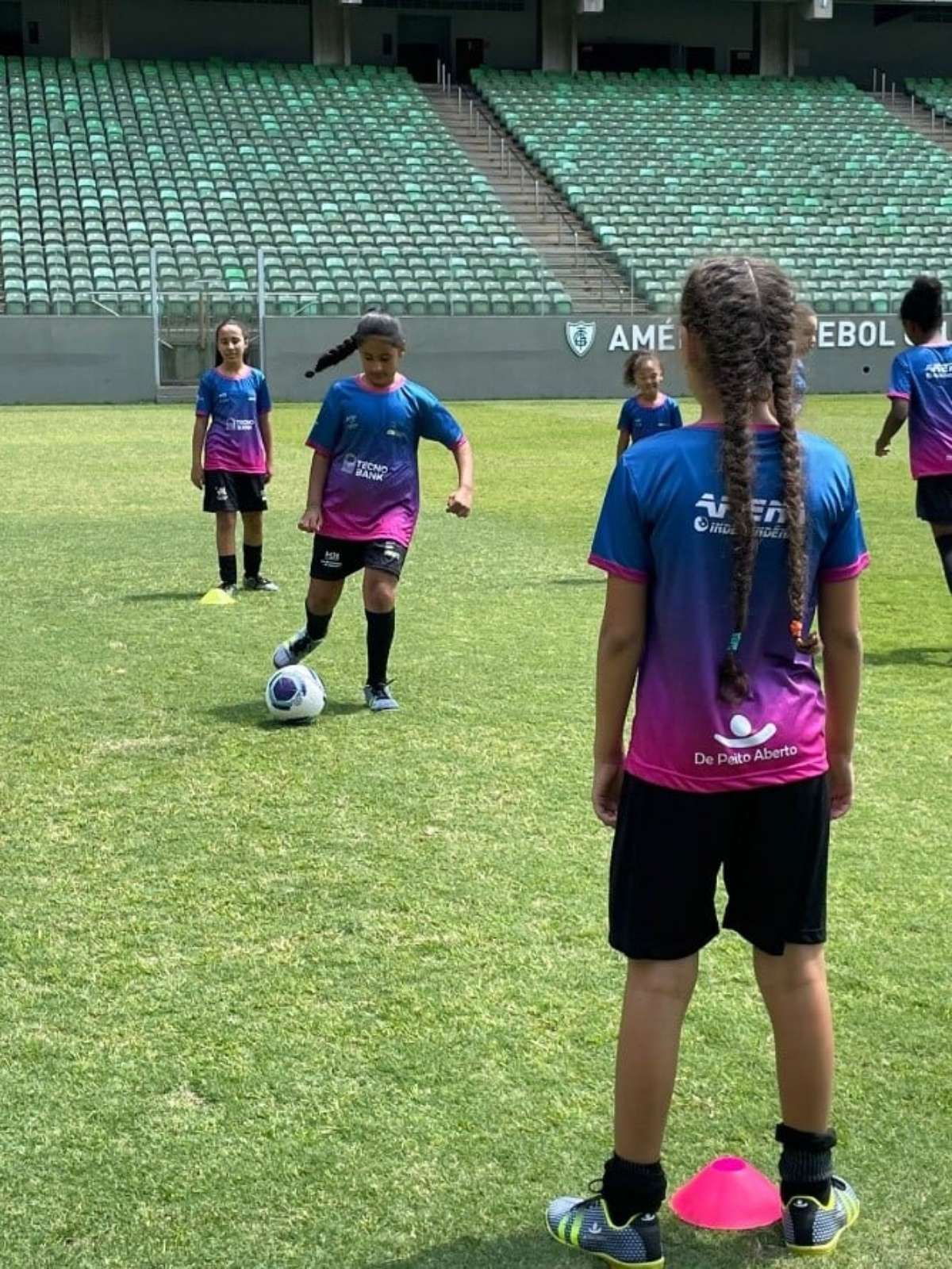 Futebol feminino - Terra