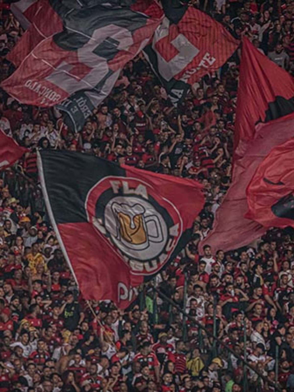 Casa cheia! Ingressos para América-MG e Flamengo estão esgotados
