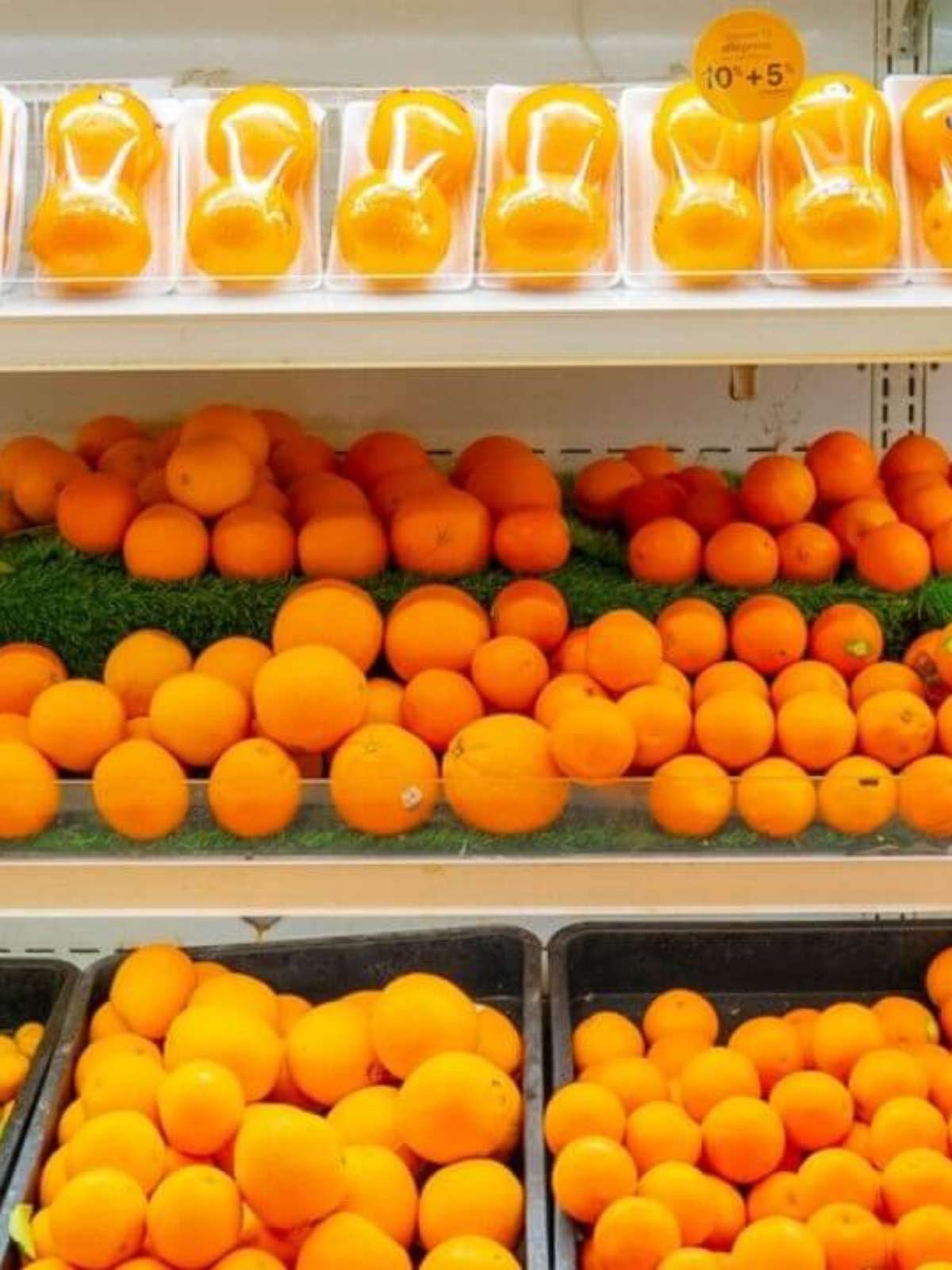 Laranja hot sale