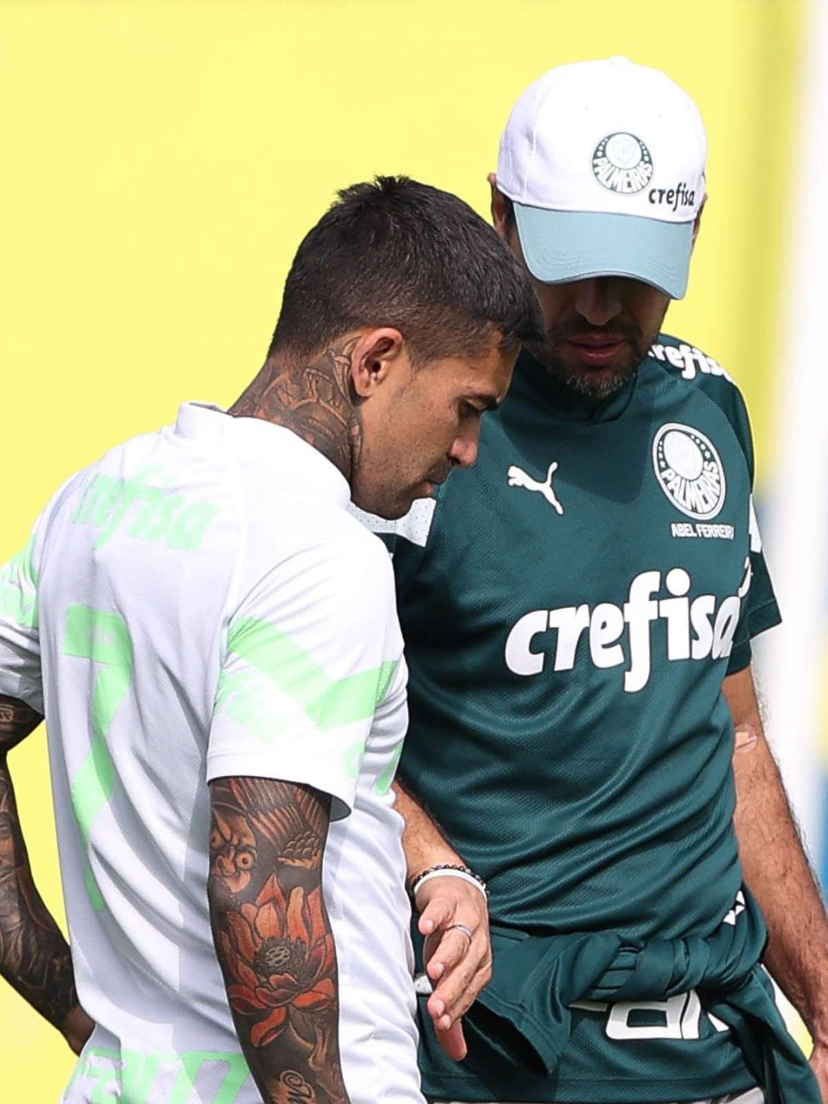 Palmeiras tem 14 jogadores com mais de 100 jogos pelo clube no elenco;  confira – LANCE!