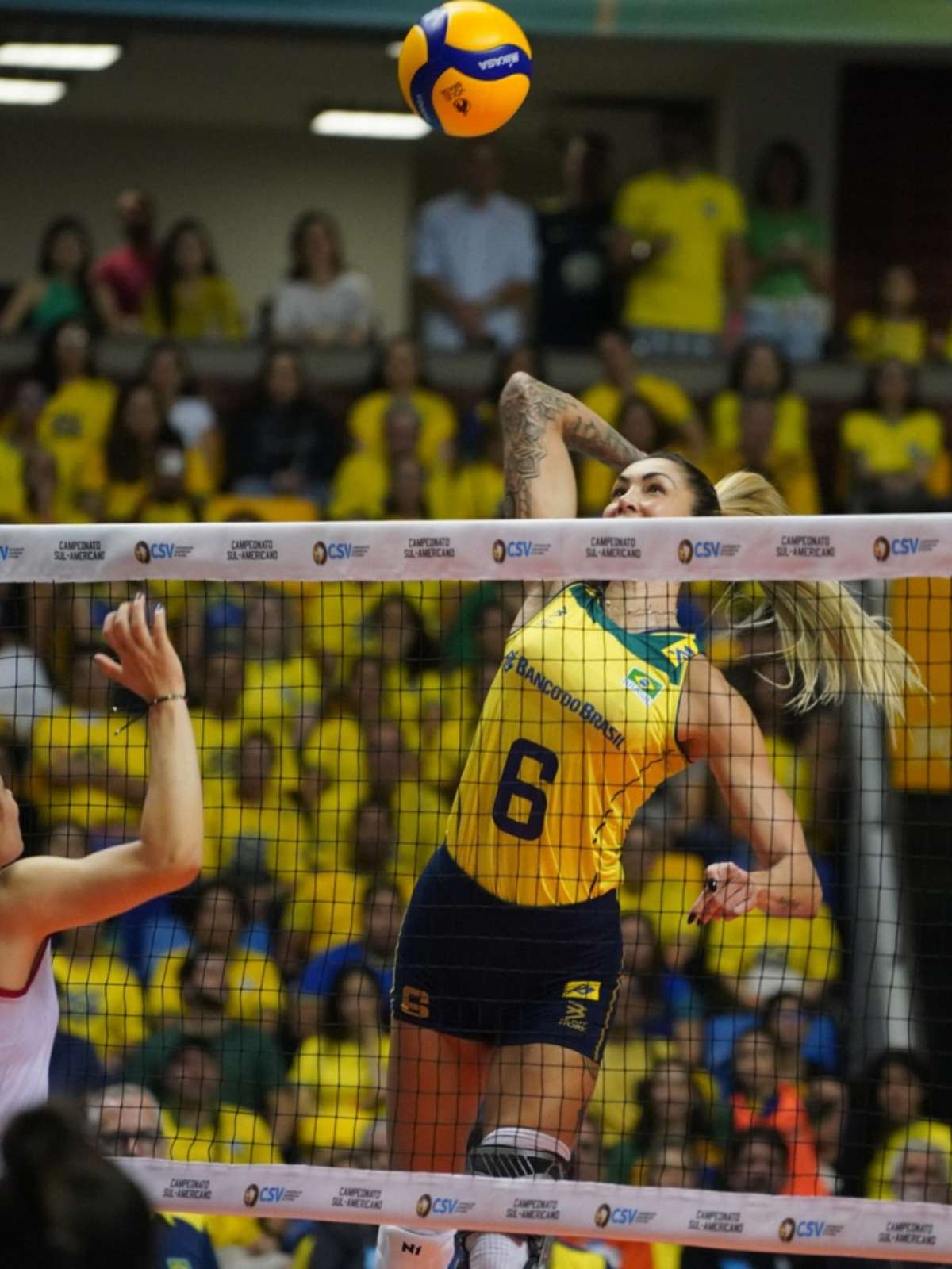 Campeonato Sul-Americano de Voleibol Feminino 2023 