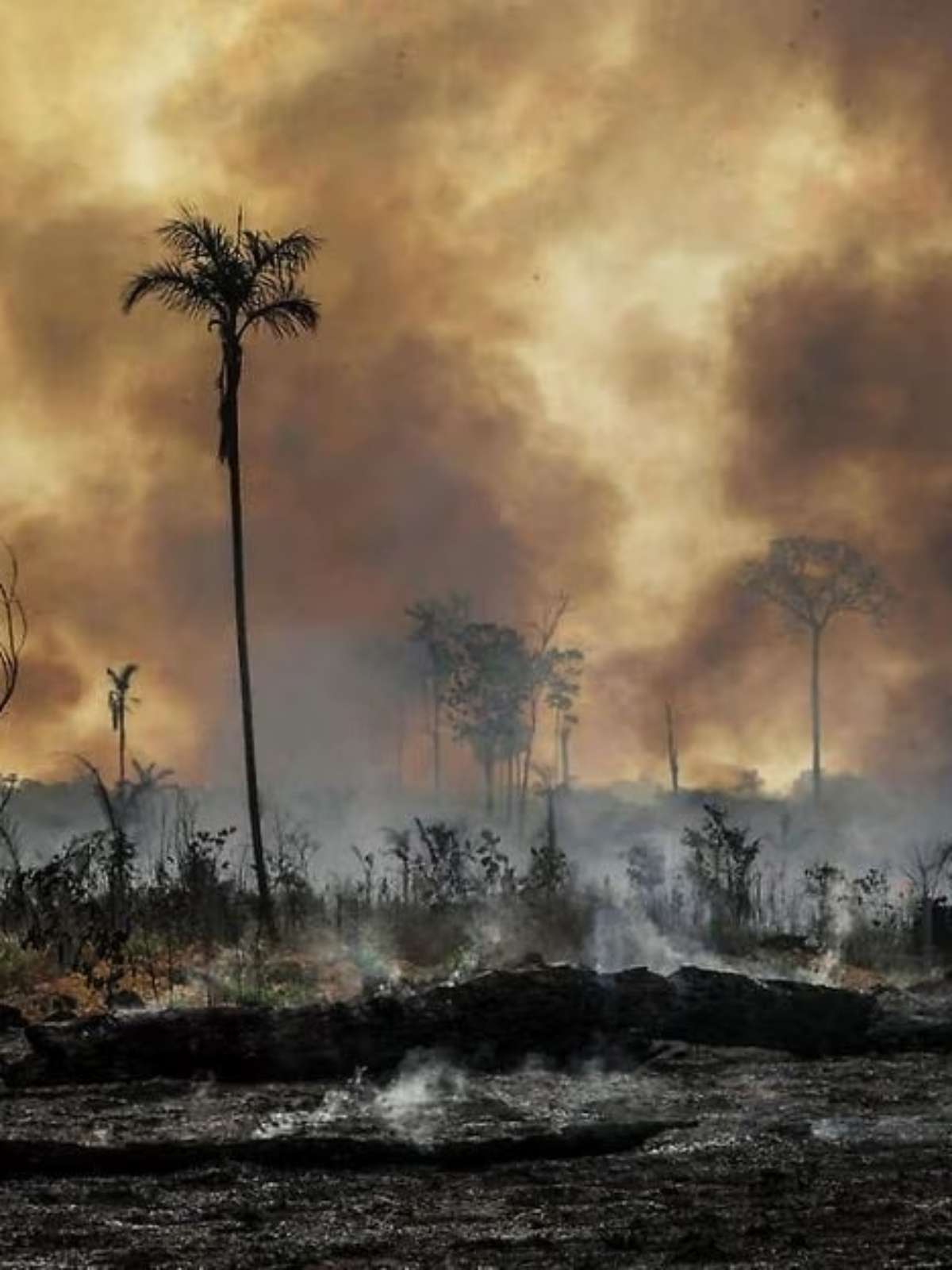 El Niño pode potencializar fogo na Amazônia, alertam