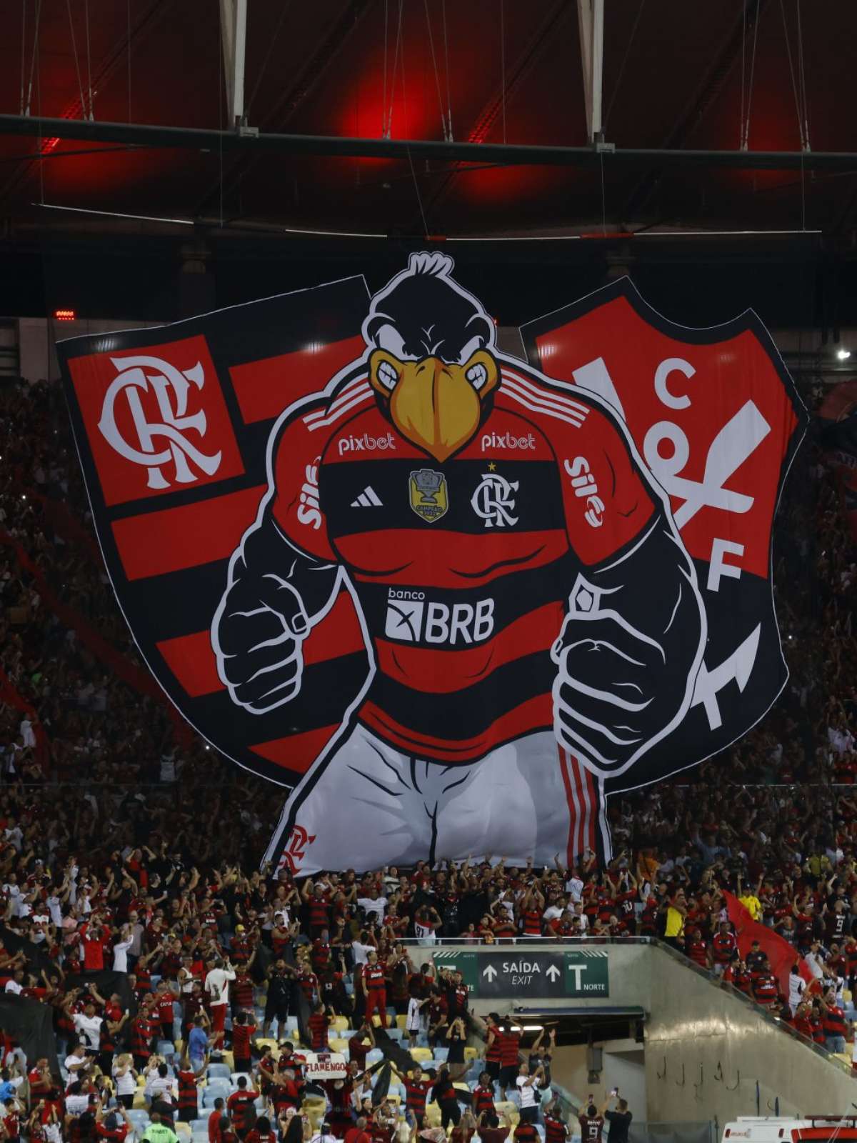 Compre o seu ingresso para o jogo Flamengo x Santos em Brasília