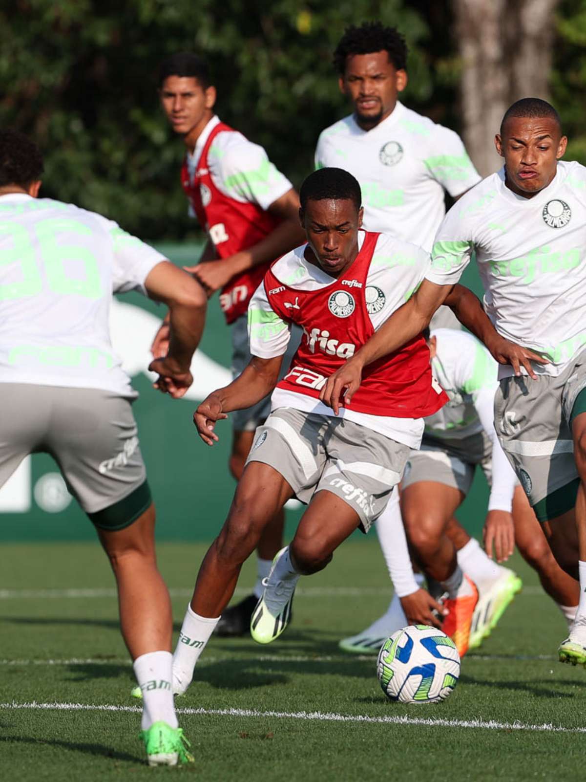 Em dia de folga, sete jogadores do Palmeiras aparecem na Academia - ISTOÉ  Independente