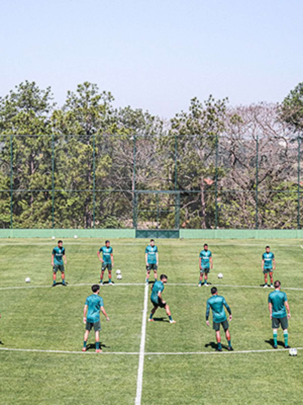 Coritiba precisa vencer nove de 13 jogos para não cair; veja a tabela