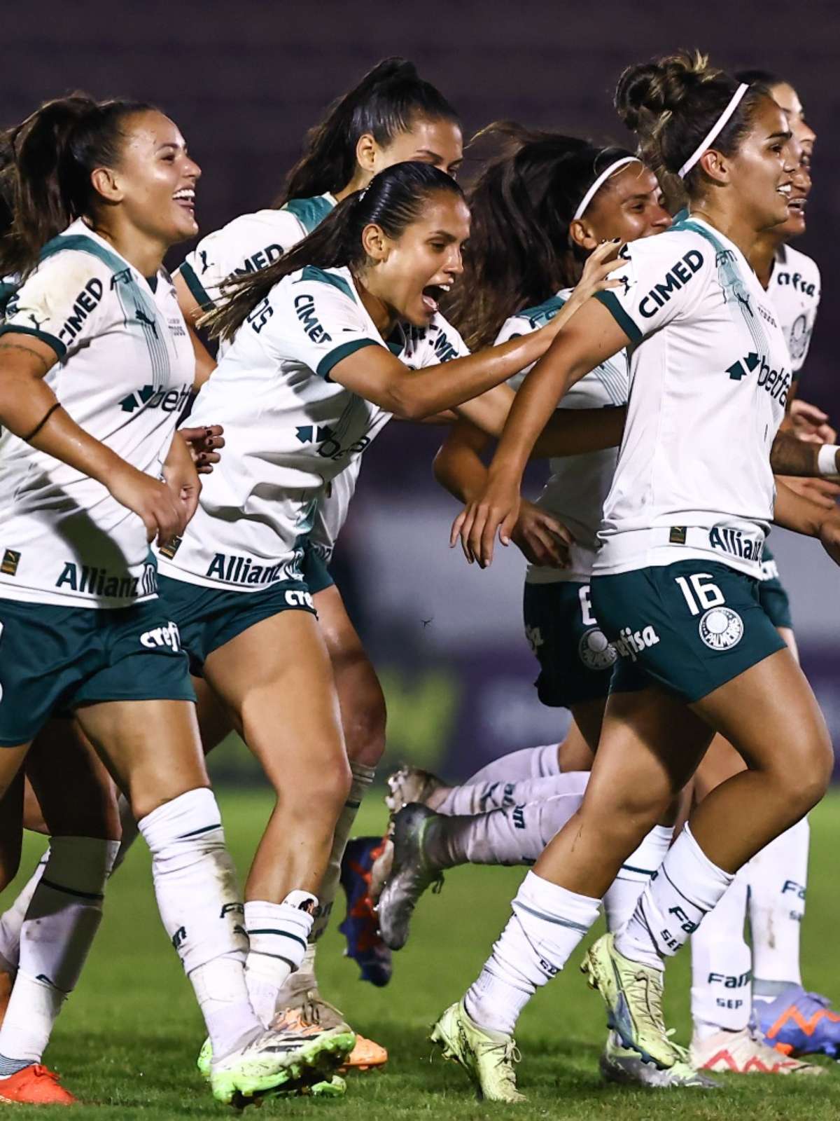 Com 'lei do ex', Palmeiras vence a Ferroviária no Campeonato Paulista  Feminino - ISTOÉ Independente