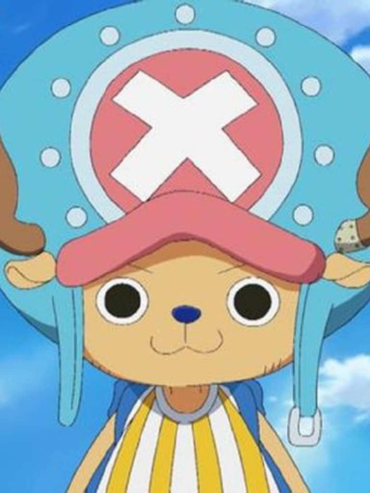 Bichinho One Piece Chooper Frete Personagens Outros