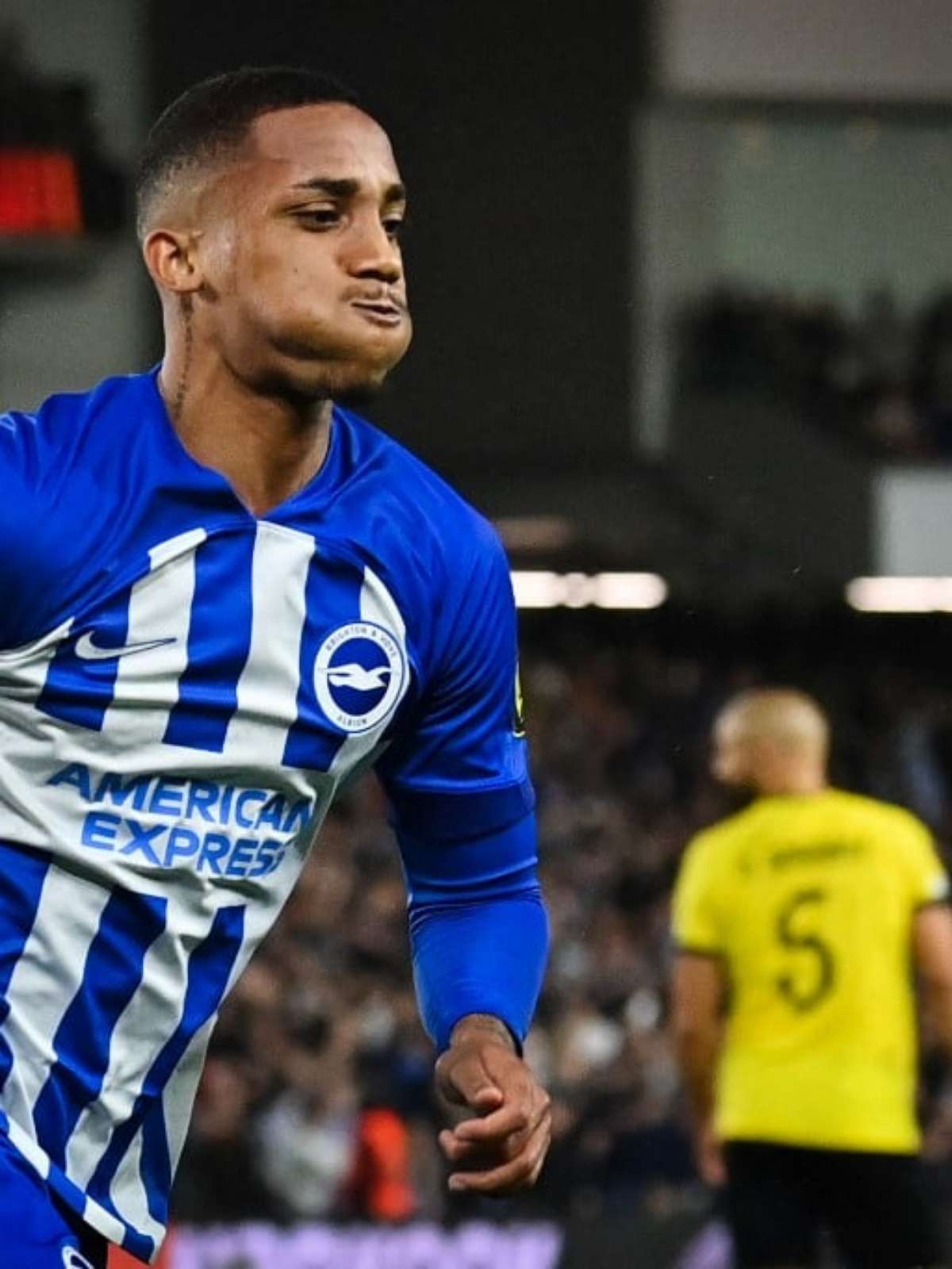 João Pedro: como reserva do Brighton virou jogador da seleção