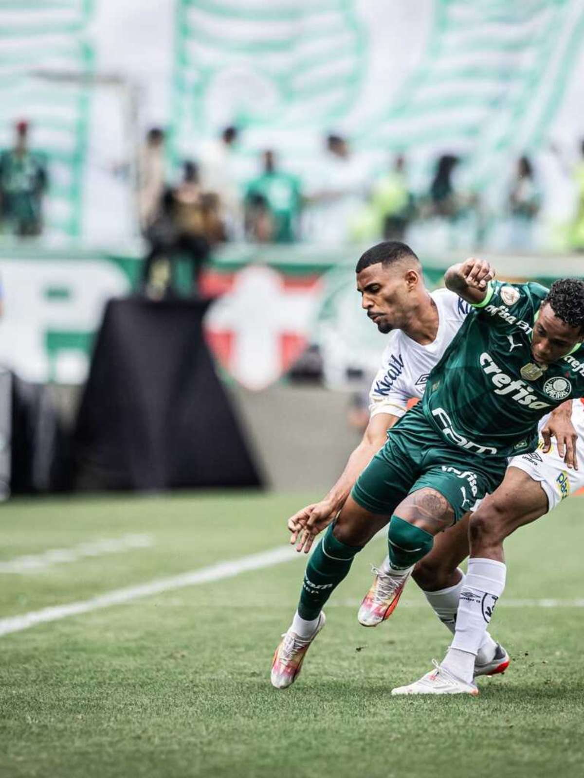 Santos x Palmeiras ao vivo - 11/05/2023