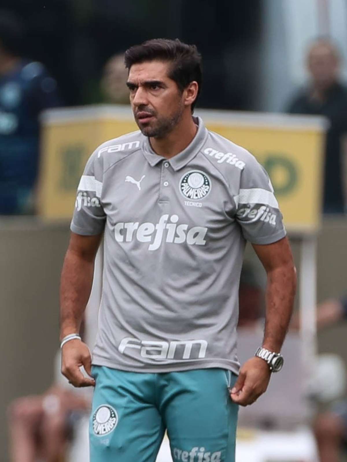 Com a palavra, os campeões: confira o que disseram os jogadores do Palmeiras  após o título