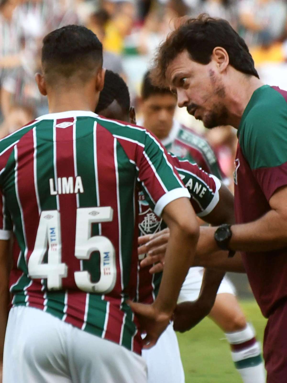 Diniz avalia que Fluminense 'conseguiu fazer um grande jogo' no empate com  Palmeiras - 08/05/2022 - UOL Esporte