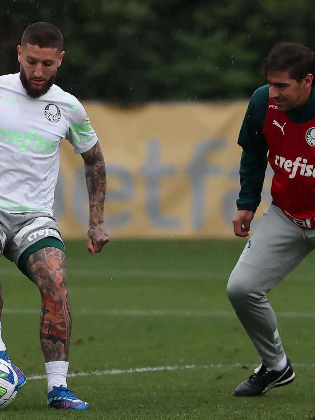 Segunda casa? Palmeiras tem jogos históricos e ótimo retrospecto na Arena  Barueri - ISTOÉ Independente