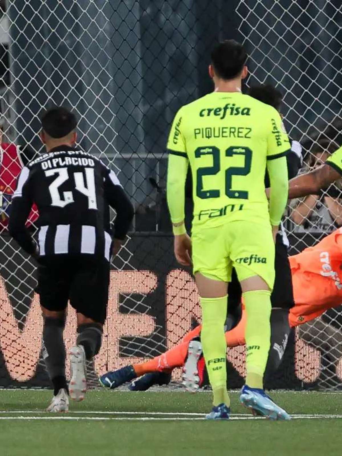 Weverton fala sobre pênalti defendido contra o Botafogo e destaca força  mental do Palmeiras - Gazeta Esportiva