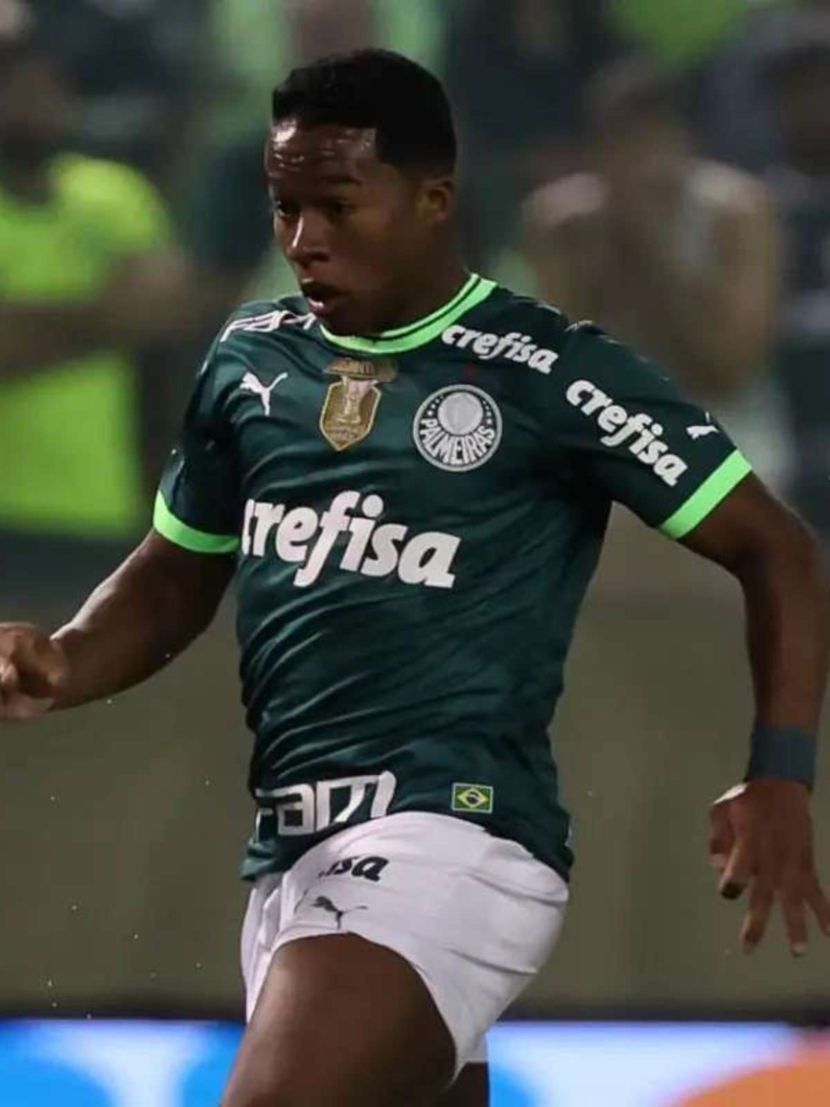 Artilheiro, garçom, quem mais jogou… Confira um balanço do elenco do  Palmeiras em 2023 - ISTOÉ Independente