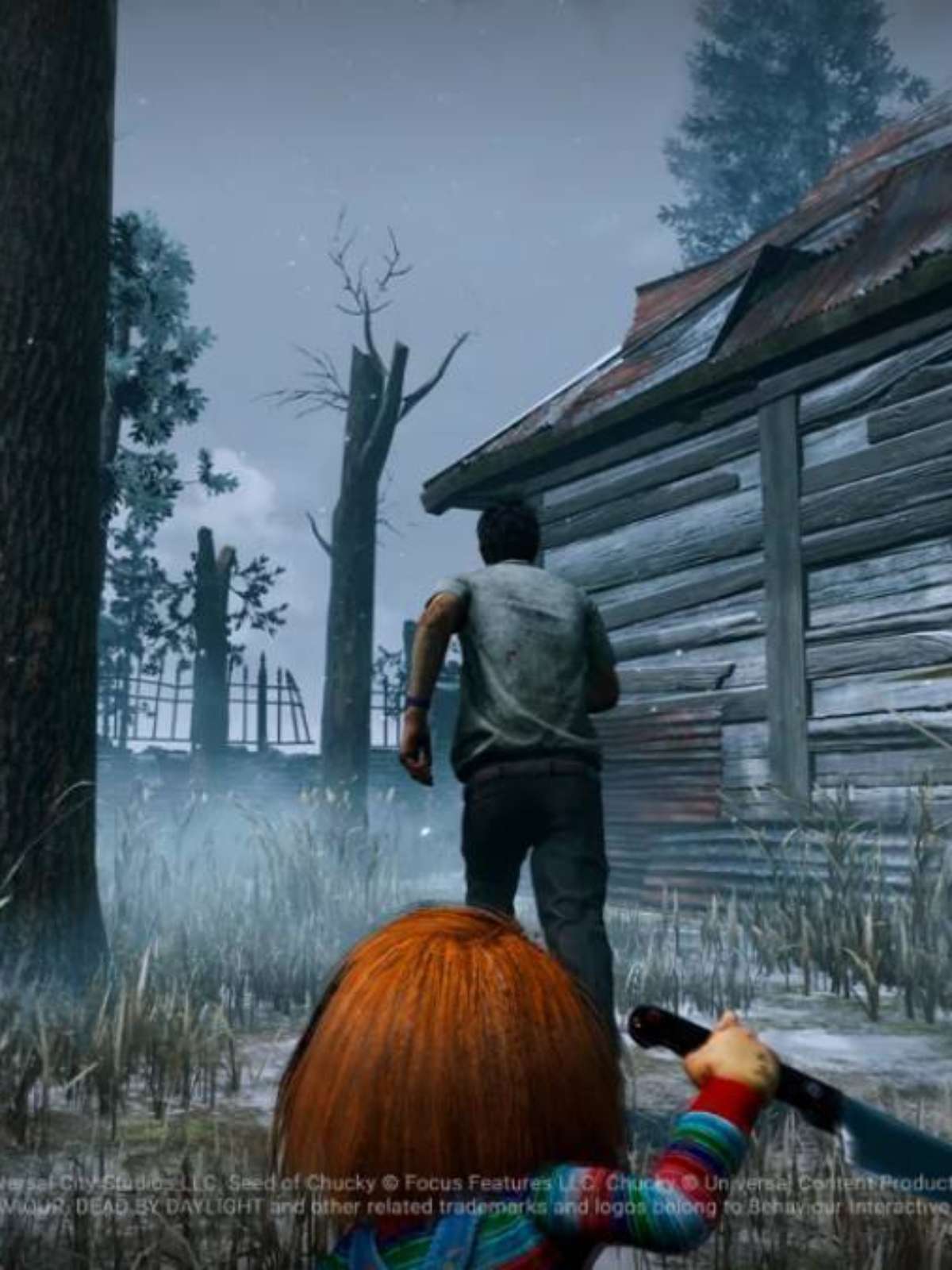 Problem Cage with Pyramid Head (STEAM) — BHVR