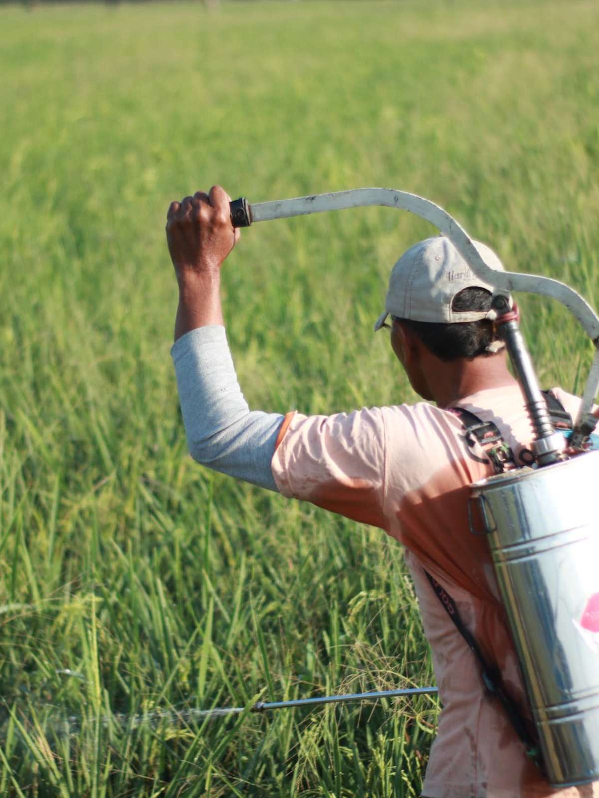 Após polêmica em humanas, 2º dia de Enem volta a citar agronegócio e trata  ainda de TPM, vacina e mais; veja o que caiu, Enem 2023