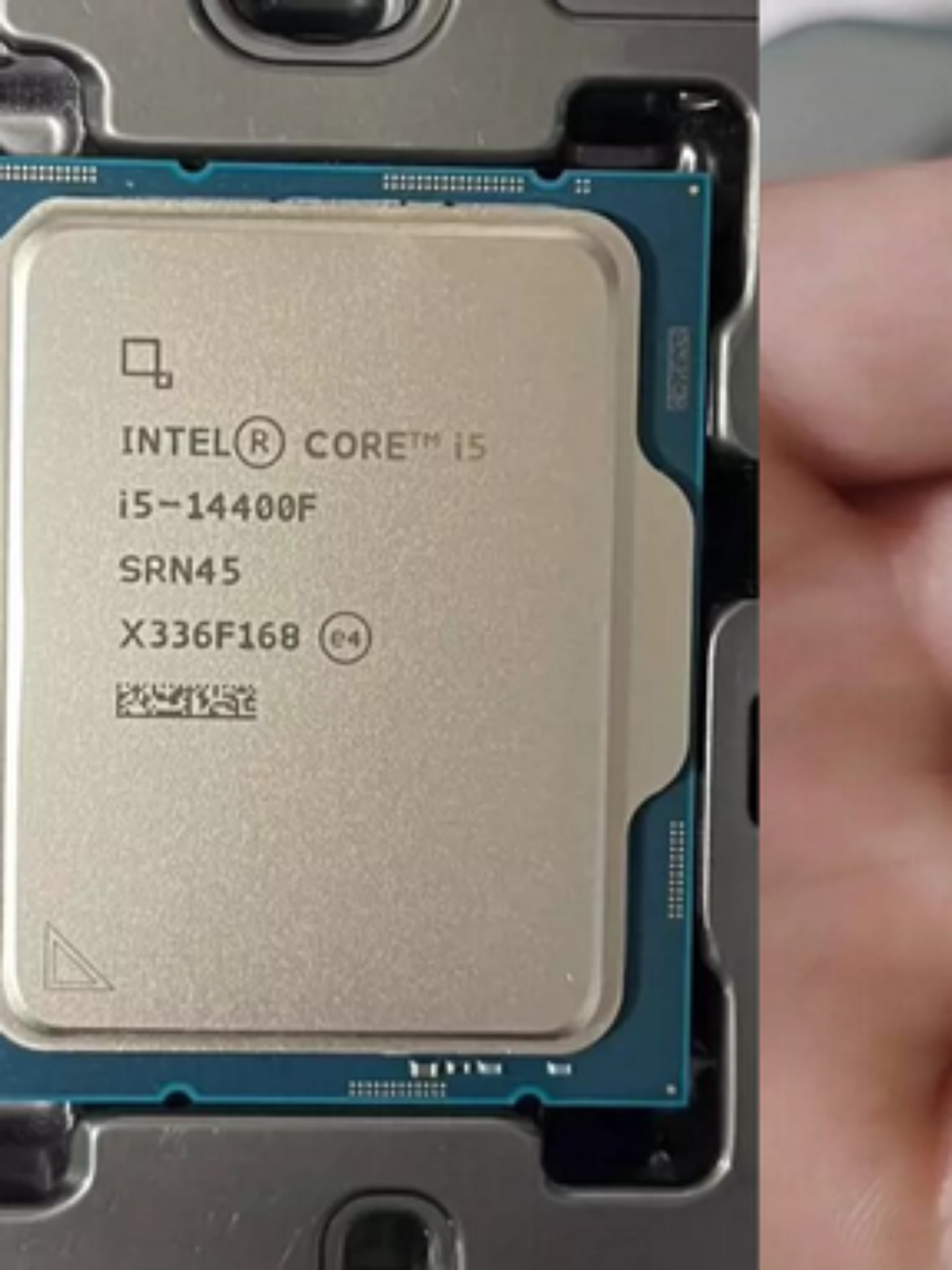 Intel ou AMD? Testes mostram qual a diferença das CPUs nos jogos [vídeo] -  TecMundo