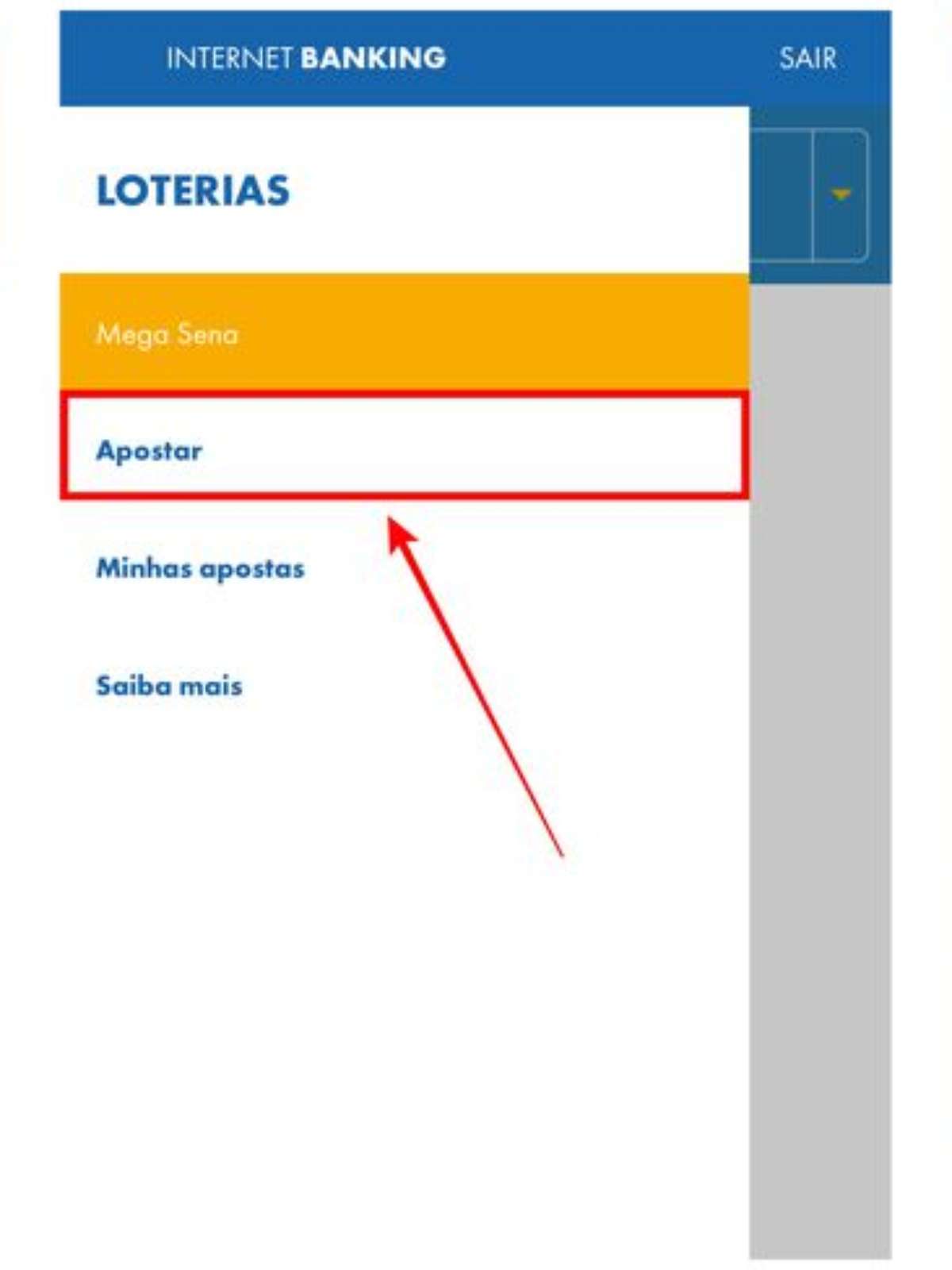 Loterias CAIXA - Agora você aposta na Mega da Virada também pela internet. Loterias  Online, o site oficial das Loterias Caixa. Guarde sua sorte e aposte!  loteriasonline.caixa.gov.br #PraTodosVerem: Na imagem, um computador