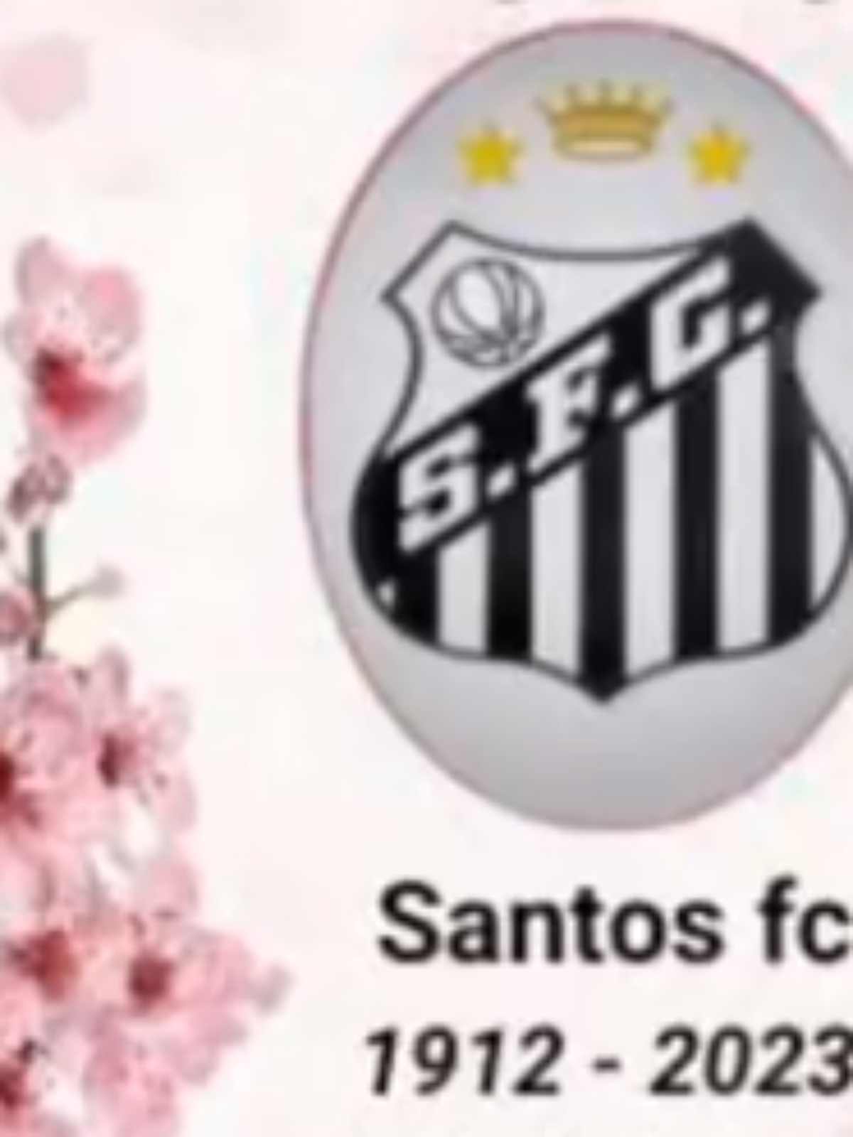 Santos Segunda Divisão Meme