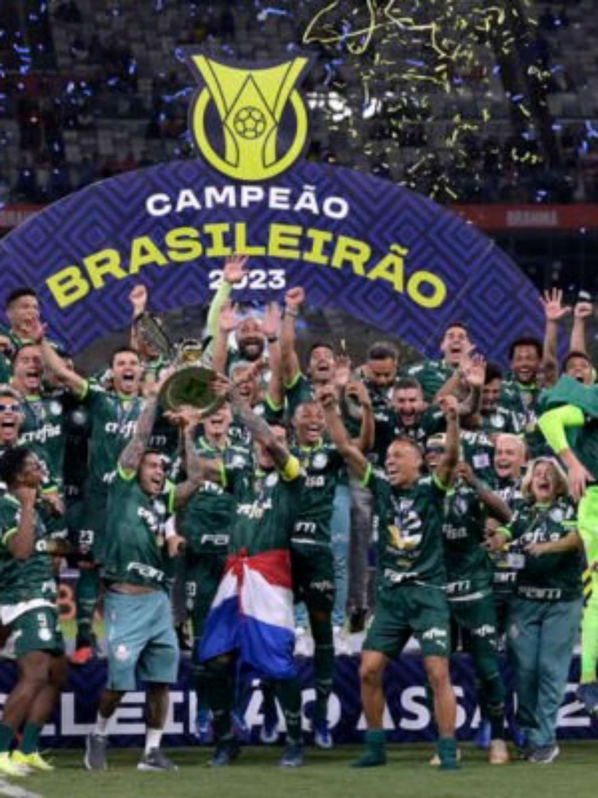 Palmeiras é bicampeão! Relembre todos os campeões do Campeonato