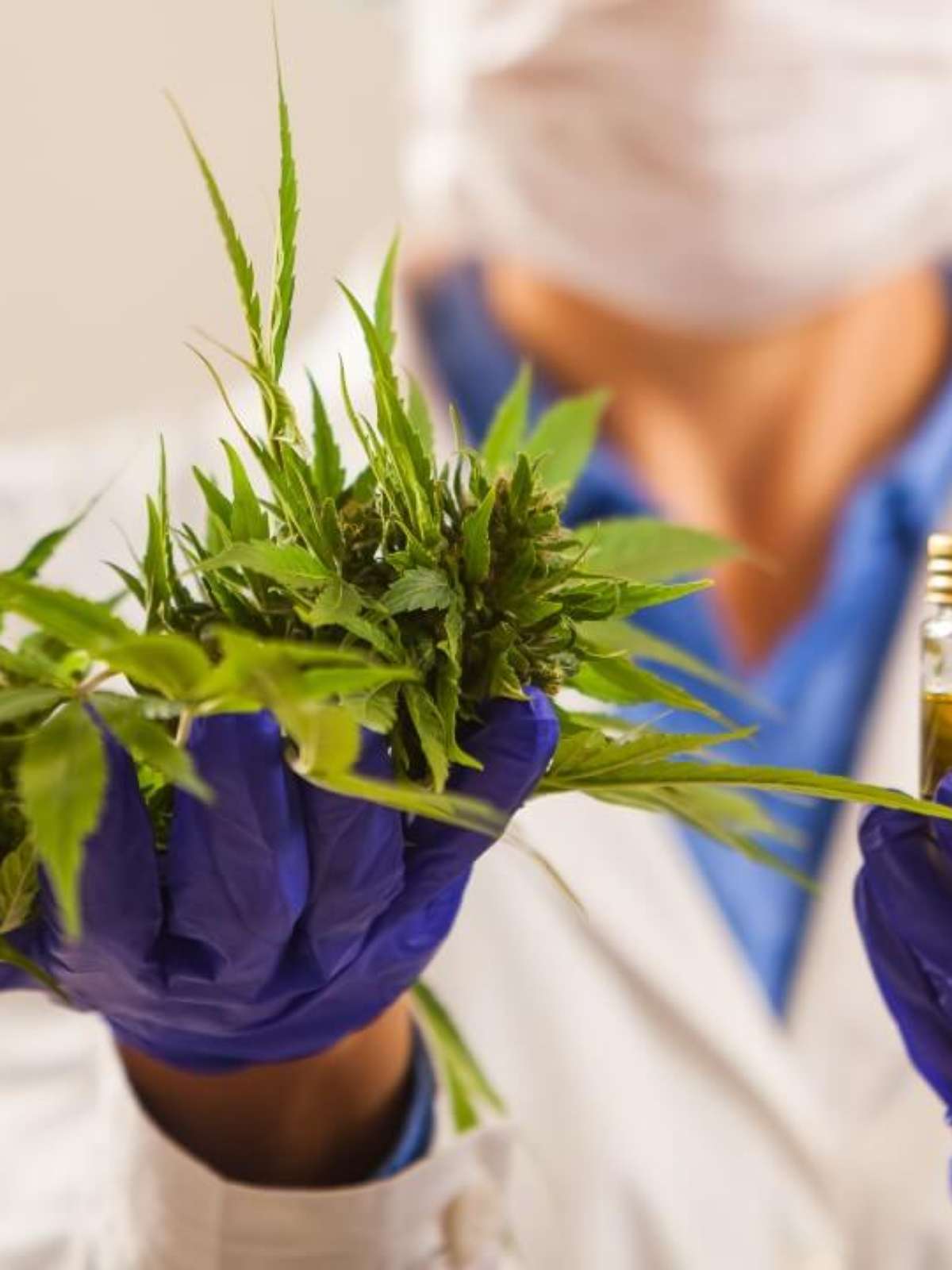 678416655-cannabis-1.jpg