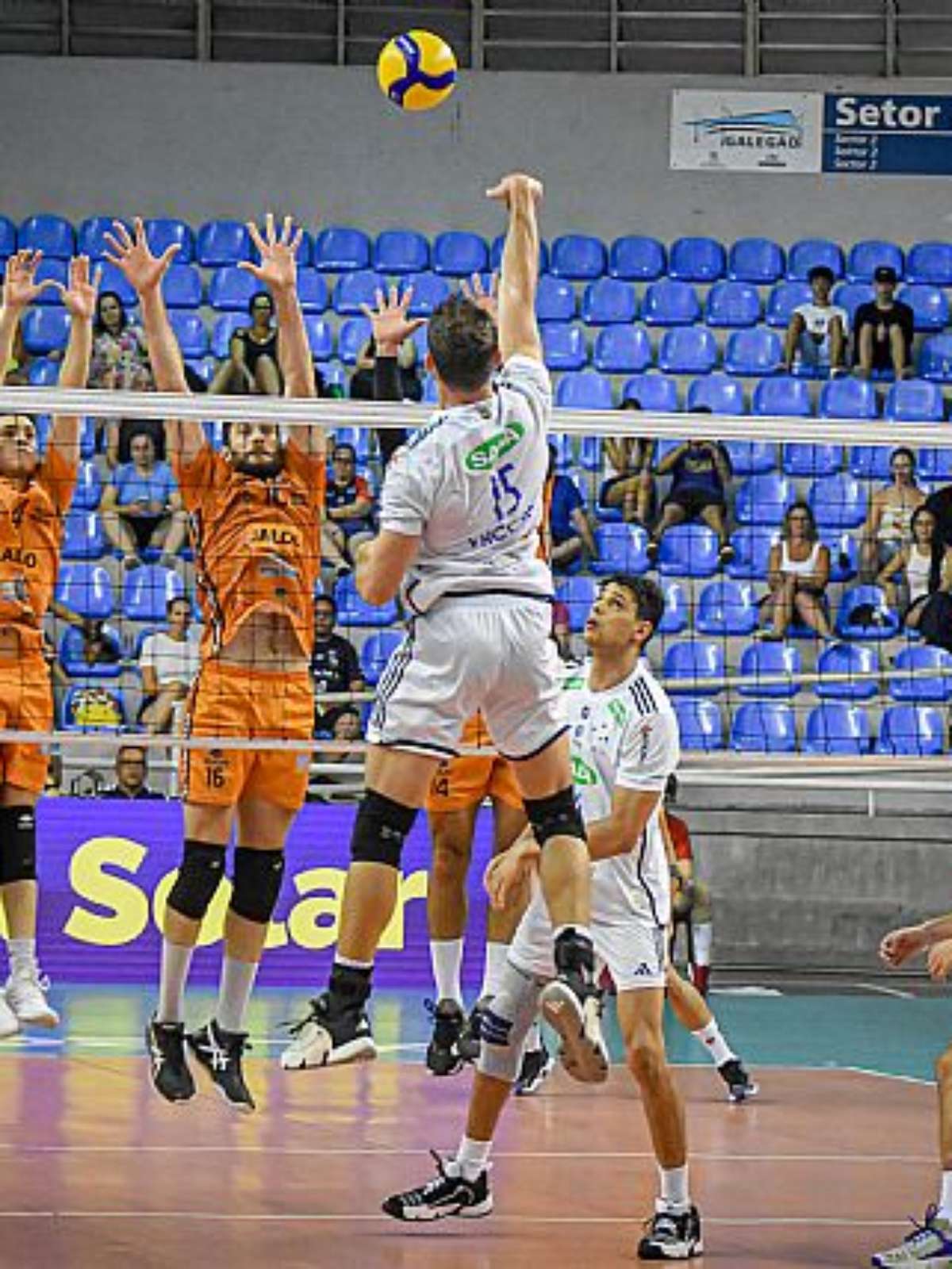 Seleção feminina de vôlei disputa Sul-Americano de olho na vaga