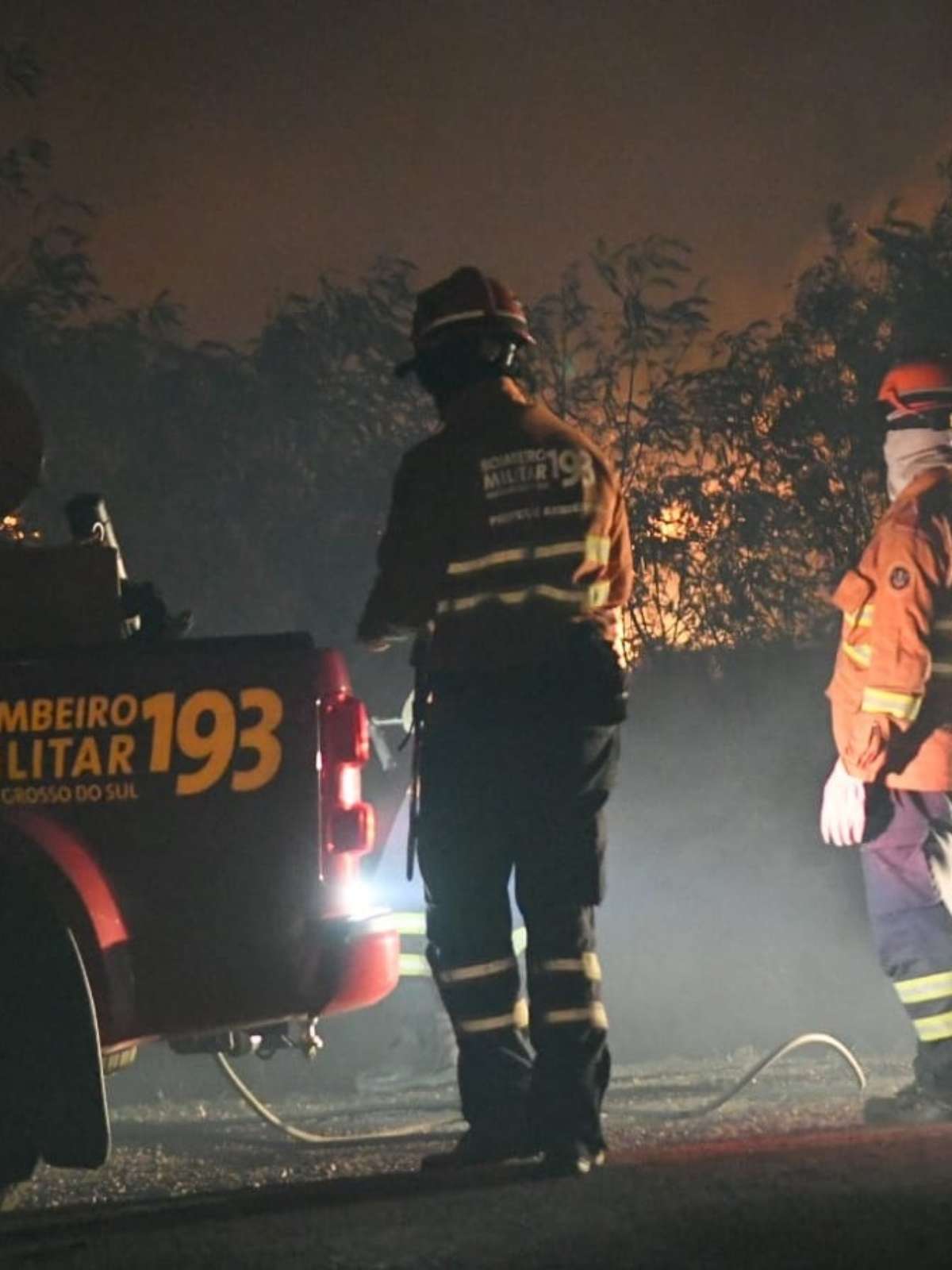 Queimadas no Pantanal atingem área equivalente a mais de quatro cidades de São Paulo