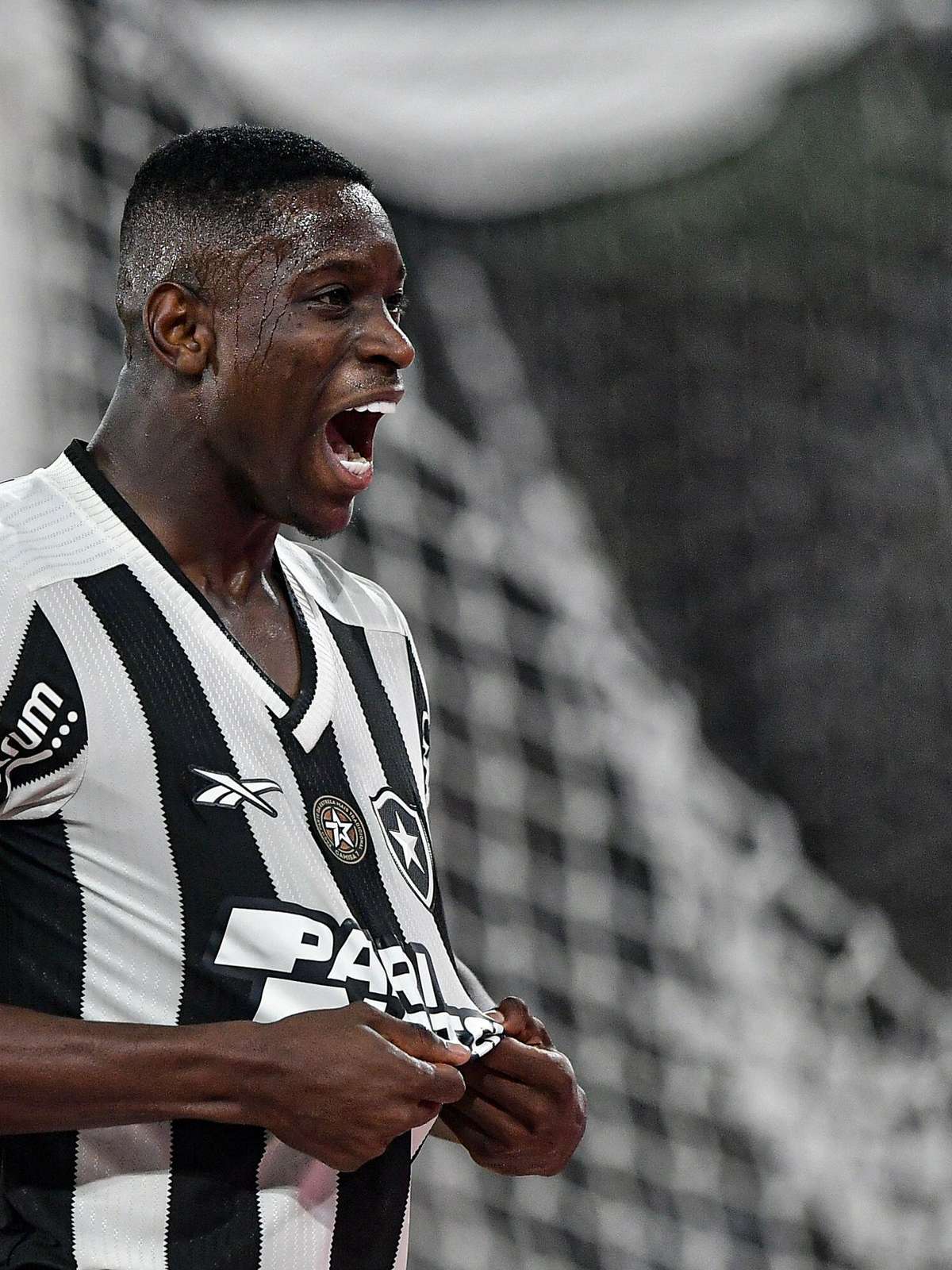 Botafogo no Brasileirão 2024 será que agora vai? Veja o que