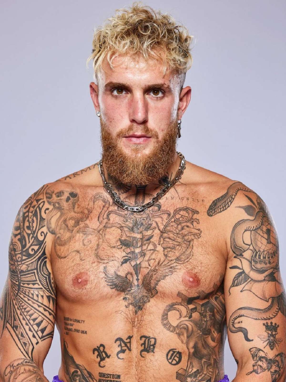 Jake Paul nocauteia ex-UFC e faz desafio a Poatan: 