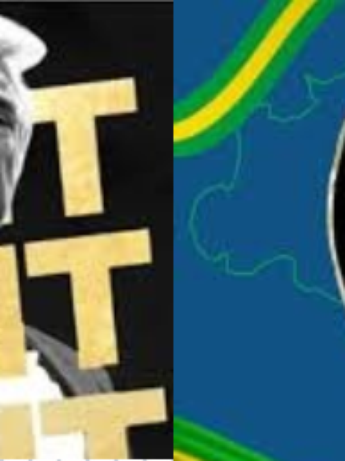 $Trump, $Melania e Patriota Coin: entenda o fenômeno das memecoins e se  vale a pena investir nelas