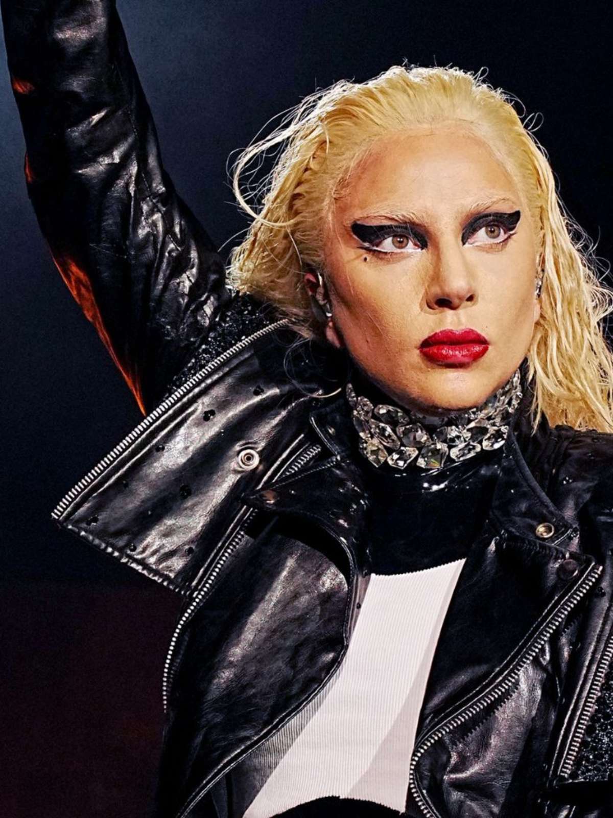 Lezbiyenlar mushuklarni erkalash surati