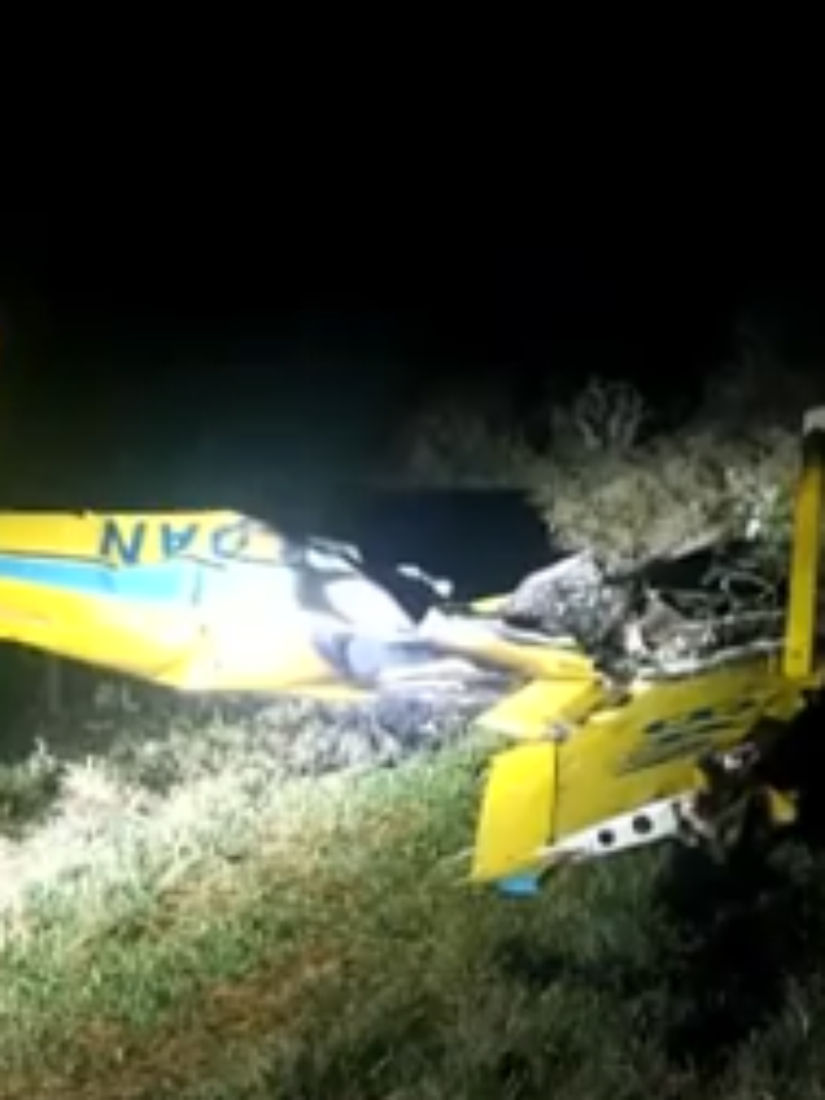 Avião cai no Pantanal: morre arquiteto chinês e cineastas brasileiros