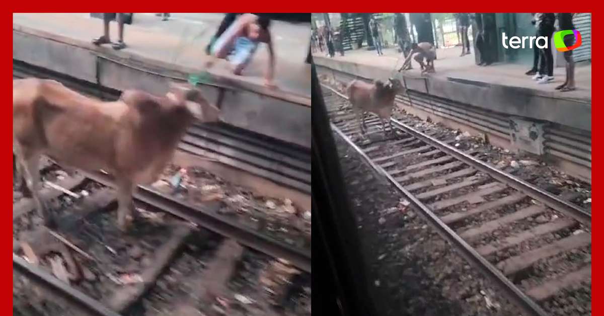 Bois Invadem Estação De Trem Em Linha Férrea Rio De Janeiro Terra