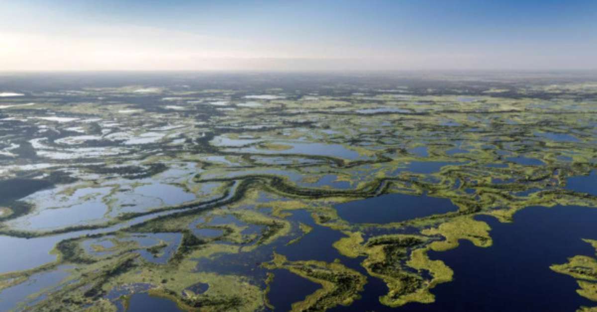 Conhe A Os Maiores Rios Do Brasil