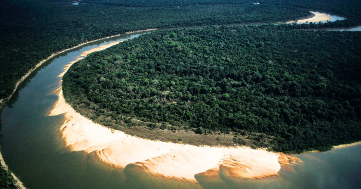 Maior Ilha Fluvial Do Mundo Brasileira Rica E Aberta A Visitas Veja