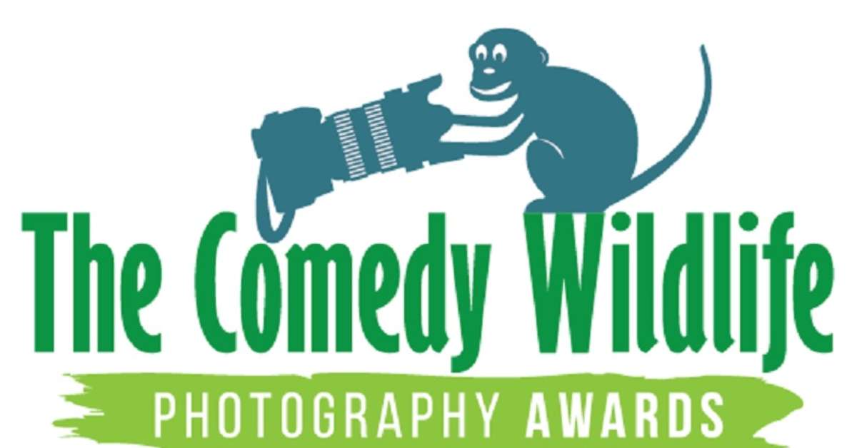 Divirta-se com os Melhores da Comédia na Vida Selvagem: Conheça os Vencedores do Comedy Wildlife Awards 2024