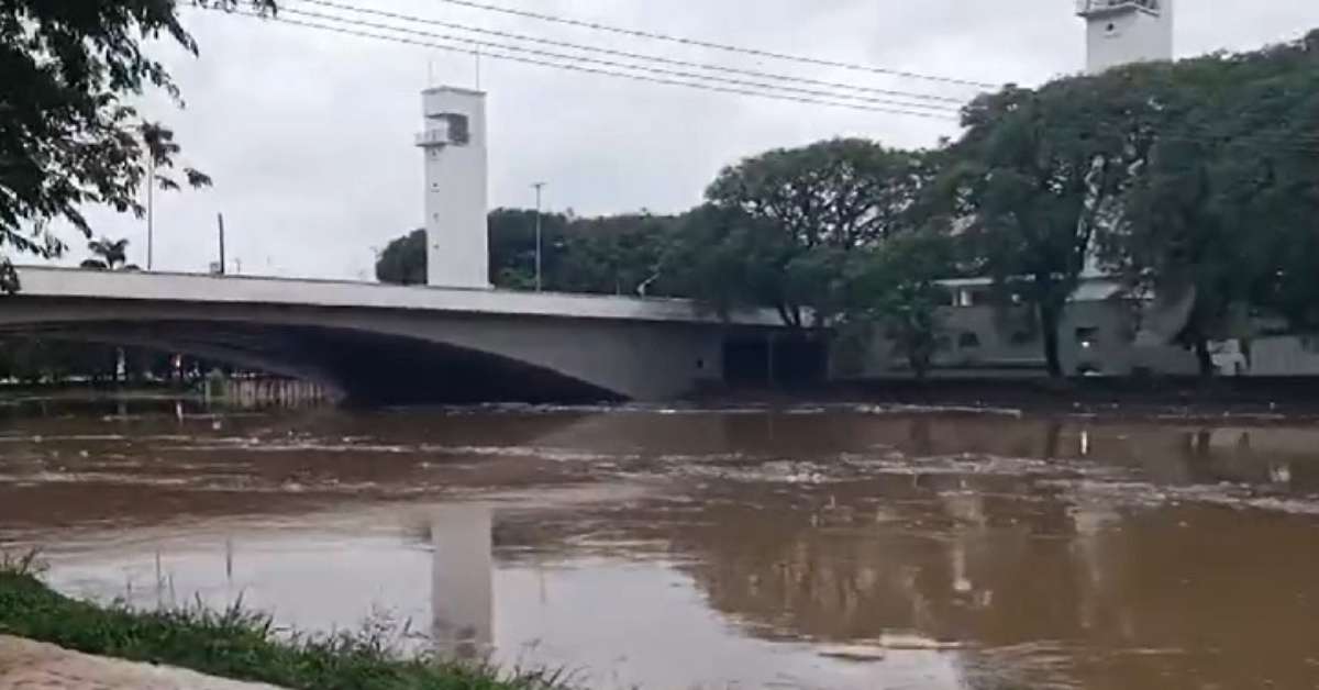 Curiosidades sobre o rio tietê que ninguém poderia sequer imaginar