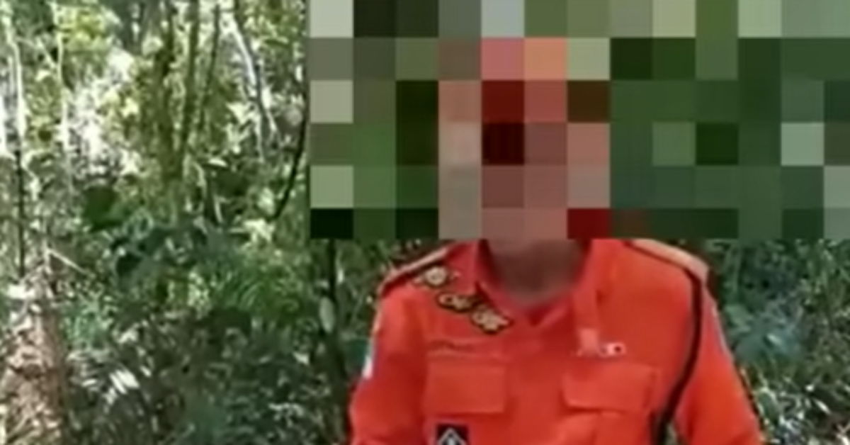 Pra quem não viu: Agentes confundem píton com jiboia e soltam cobra invasora em floresta carioca