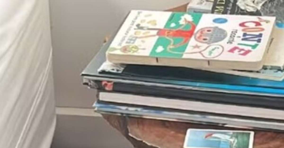 Jiboia de 10 kg é encontrada sob sofá e surpreende moradores de Geribá, bairro badalado e turístico de Búzios