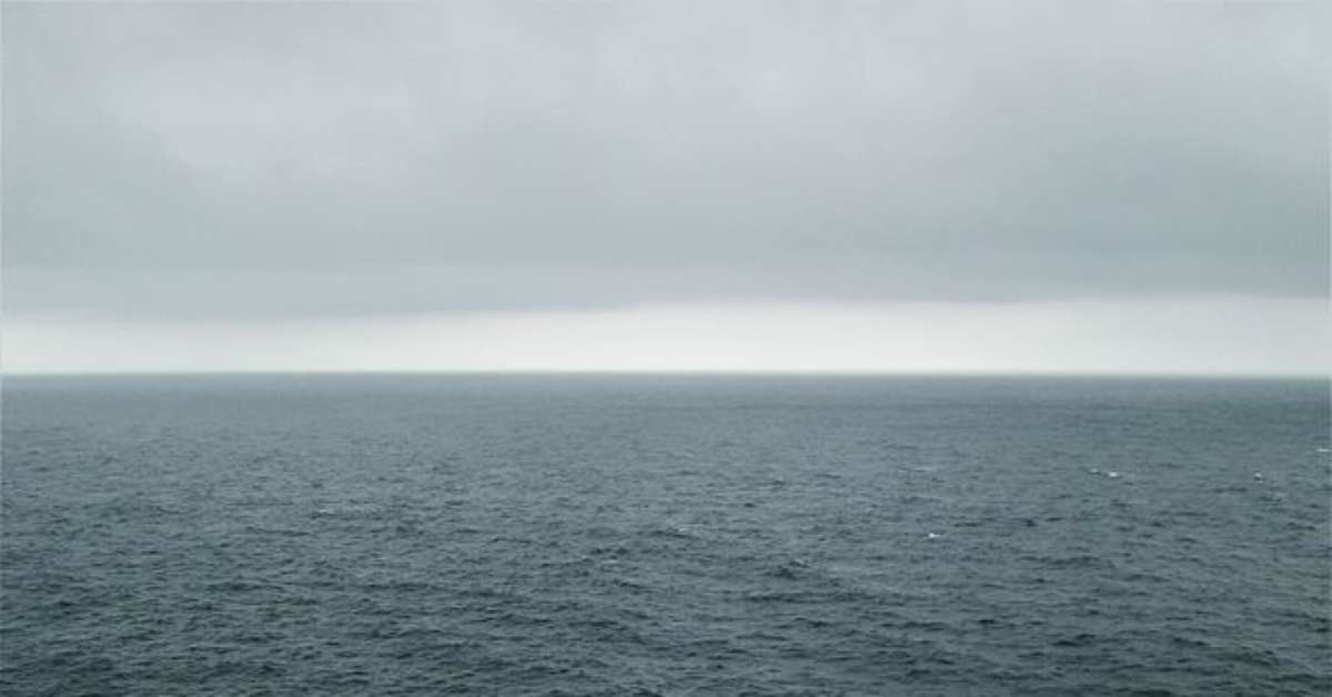 Peixes das profundezas dos oceanos têm formatos estranhos e habilidades especiais