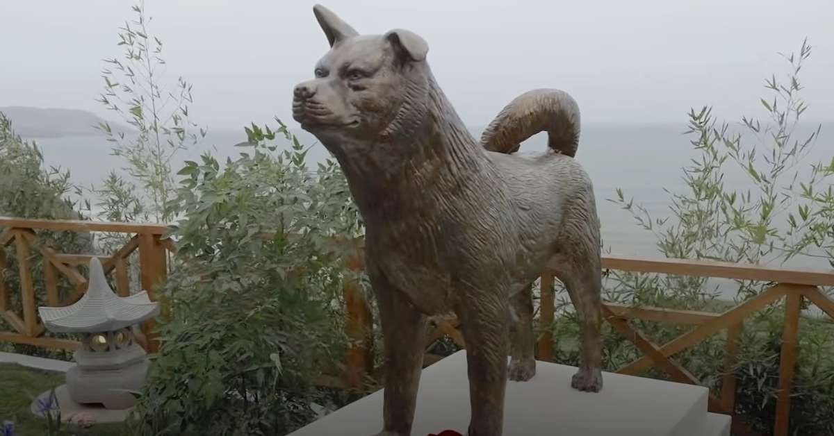 Atravessou fronteiras: após virar símbolo da lealdade no Japão, Hachiko ganha estátua em novo parque de Lima, no Peru