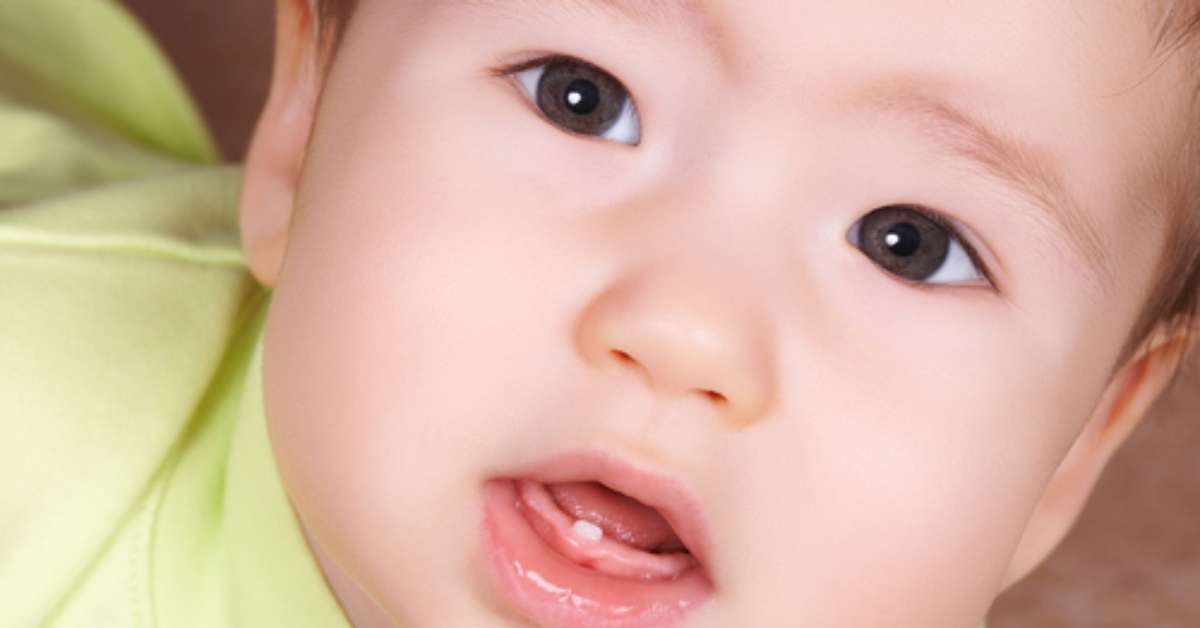 Saiba o que esperar quando os primeiros dentes nascem