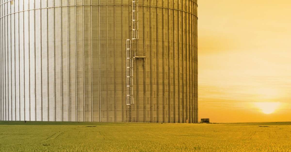 Novos silos aumentam a capacidade de armazenagem de grãos