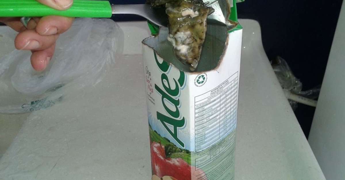 Vc repórter: consumidora diz ter encontrado "alga" em suco 