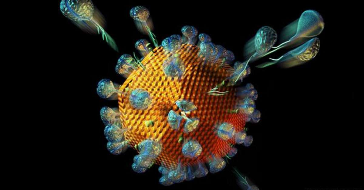 Entenda a diferença entre vírus e bactérias Entenda a diferença entre vírus e bactérias