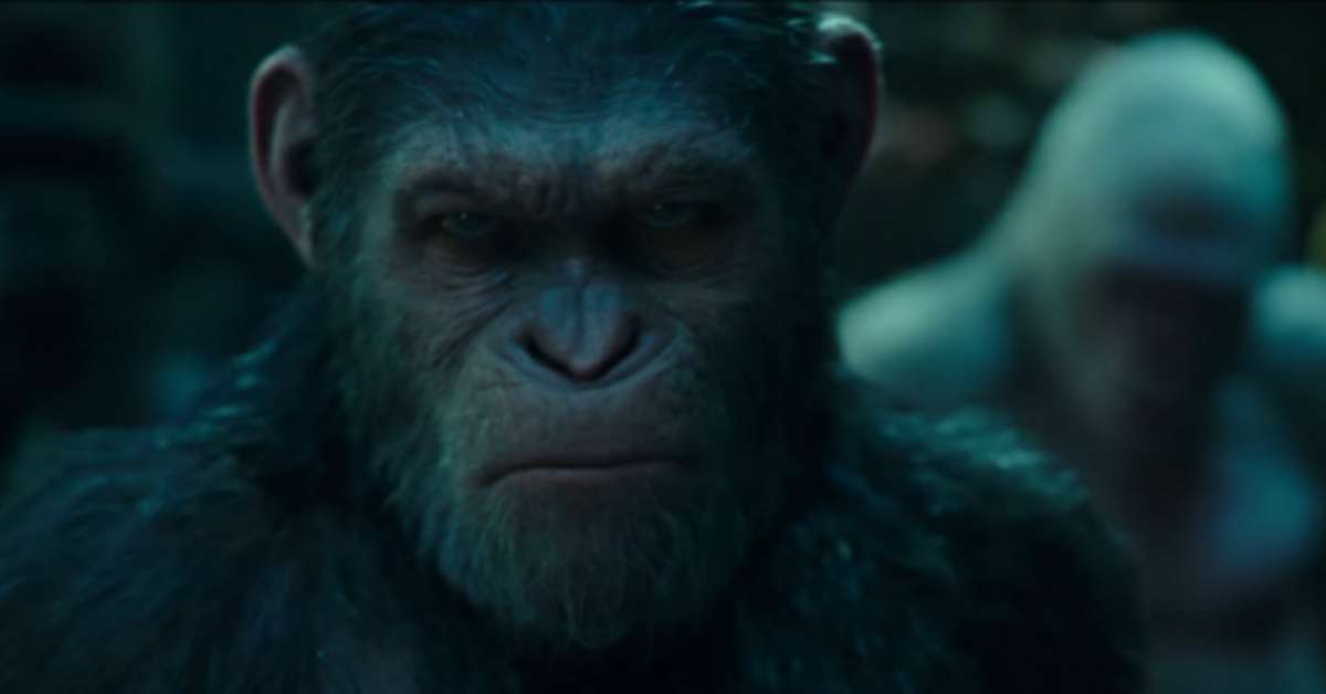 dos Macacos A Guerra vídeo traz retrospectiva