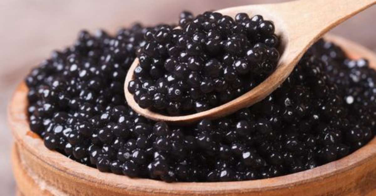 Você sabe o que é caviar?
