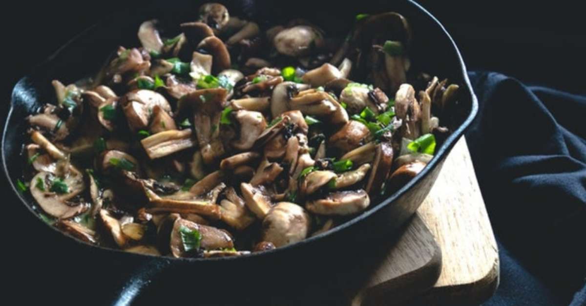 Shimeji conheça as propriedades do cogumelo e aprenda como preparálo