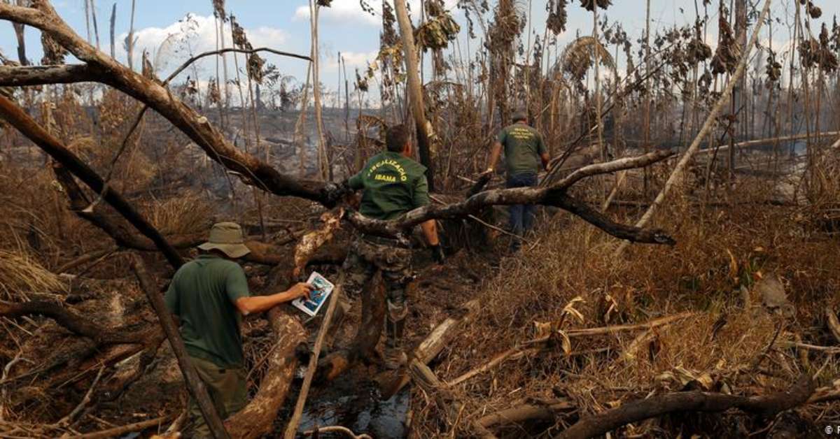 Os entraves à punição de crimes ambientais no Brasil
