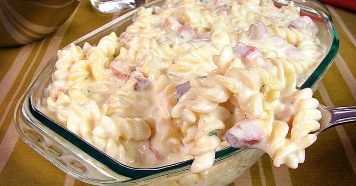 Receitas De Macarr O Ao Molho Branco Para Se Deliciar